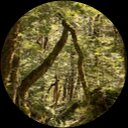 Kale Brown profile picture